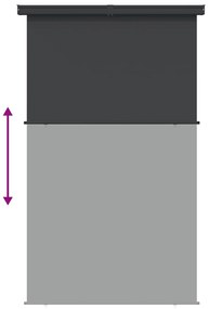 Copertina laterala de balcon, negru, 160x250 cm Negru, 160 x 250 cm