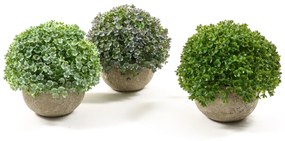 Set 3 plante artificiale in ghiveci din ciment,  Dichondra, 14x13 cm