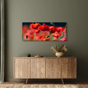 Tablou - flori de maci (120x50 cm)