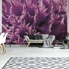 Fototapet - Plante (152,5x104 cm)