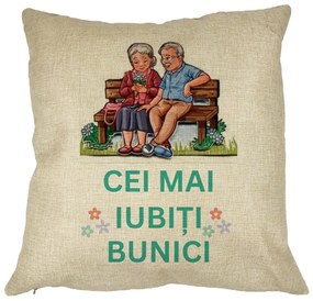 Perna Decorativa pentru Bunici 9, 40x40 cm, Husa Detasabila, Burduf