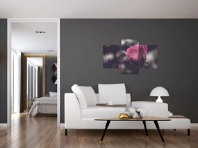 Tablou - Detaliu florii de trandafir (90x60 cm)