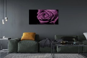 Tablouri canvas trandafir violet