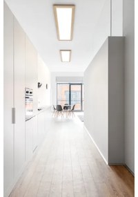 Eglo 99473 - Plafonieră LED PIGLIONASSO LED/32W/230V 345x1245 mm