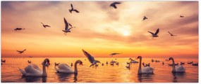 Tablou - Lebedă (120x50 cm)