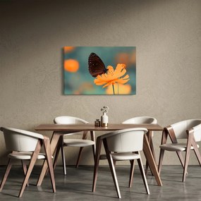 Tablou - fluture pe o floare portocalie (90x60 cm)