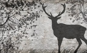 Fototapet - Umbra cerbului pe perete gri (254x184 cm)