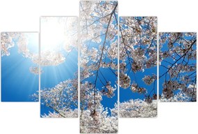 Tablou - Flori de cireș (150x105 cm)