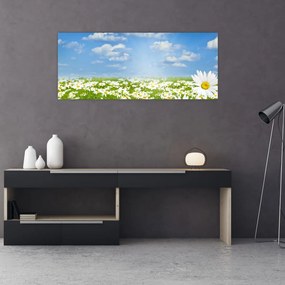 Tablou cu luncă înflorită cu margarete (120x50 cm)