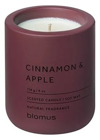 Lumânare parfumată din ceară de soia timp de ardere 24 h Fraga: Cinnamon &amp; Apple – Blomus