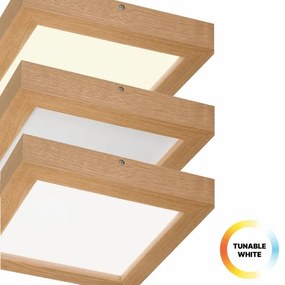 Plafonieră LED dimabilă Brilagi WOODY FRAME LED/24W/230V stejar 30x30 cm IP44 + telecomandă