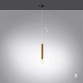 Lustră pe cablu BRUNA 1xE27/60W/230V alamă Leuchten Direkt 15617-60