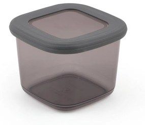 Set cutie de depozitare Storage Box Set   BNM9LU Bucatarie , Gri, 10 x 25 x 10 cm