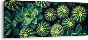 Tablou - Cactuși (120x50 cm)