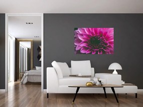 Tablou cu floarea roz (90x60 cm)