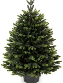 Brad Artificial Premium in Ghiveci 100 cm