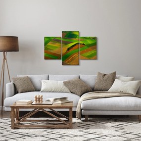 Tablou - Lan, luncile (90x60 cm)