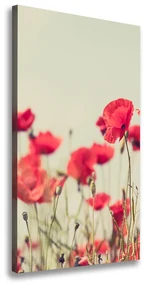 Imprimare tablou canvas Wildflowers maci