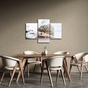 Tablou cu arici (90x60 cm)