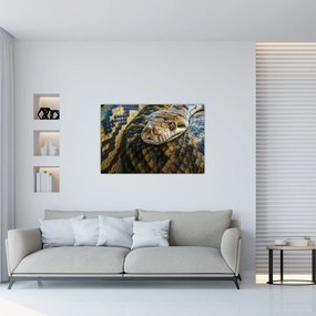 Tablou - Piton (90x60 cm)