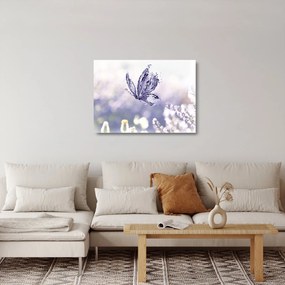 Tablou pe sticlă - Fluture și lavandă (70x50 cm)