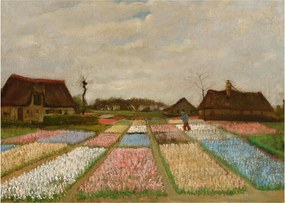 Tablou - Vincent van Gogh, Flower Beds in Holland, reproducere (70x50 cm)