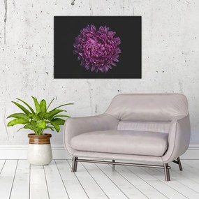 Tablou pe sticlă cu floare violetă (70x50 cm)
