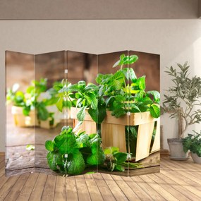 Paravan - Menta proaspătă (210x170 cm)