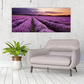 Tablou - Câmp de lavandă la apus de soare (120x50 cm)