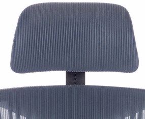 Ergomax ergonomic birou scaun pivotant gri-albastru