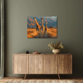 Tablou - Girafe pe pășune (70x50 cm)