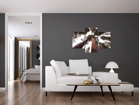Tablou - Privire prin vârfurile copacilor (90x60 cm)