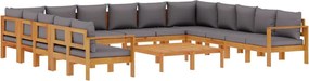 vidaXL Set de canapele de grădină cu perne 10 piese lemn masiv acacia
