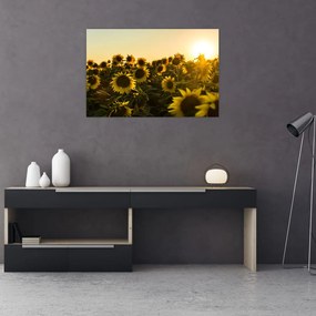 Tablou cu lan de floarea soarelui (90x60 cm)