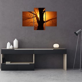 Tablou cu copac în apus de soare (90x60 cm)