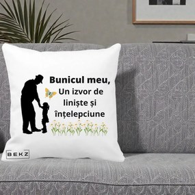 Cadou pentru Bunic - Perna Personalizata Bunicul Meu Izvor de Liniste cu Fluture si Fetita, 40x40 cm, Alba Mata, Husa Detasabila, Perna Inclusa, BEKZ®