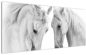 Tabou - Cai albi (120x50 cm)
