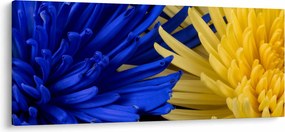 Tablou - detaliu florilor (120x50 cm)