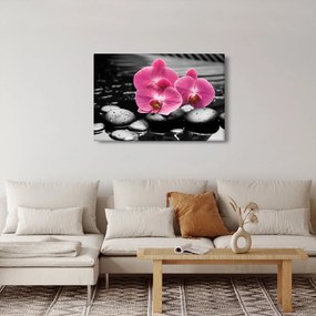 Tablou - Orhidee roz (90x60 cm)