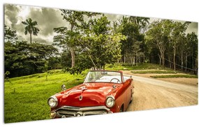 Tablou - mașina veteran în natură (120x50 cm)