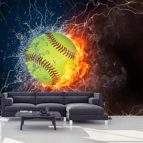 Fototapet - Minge de tenis (147x102 cm)