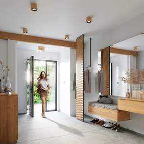 Plafonieră BASIC AR111 2xGU10/40W/230V lemn