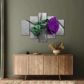 Tablou - Trandafir violet cu tulpina verde (150x105 cm)