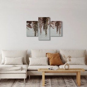 Tablou - Plante (90x60 cm)