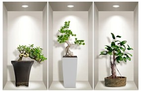 Set 3 autocolante 3D pentru perete Ambiance Bonsai Plants