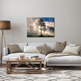 Tablou cu copac în ceață (70x50 cm)
