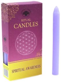 Set 10 lumanari violet Green Tree pentru ritualuri menite explorarii spirituale ceara naturala, 13.5x1.5 cm