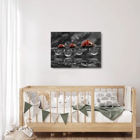 Tablou pe sticlă - Floarea-soarelui, alb și negru (70x50 cm)