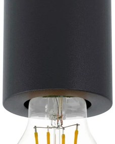 Eglo 99065 - Plafonieră SALUZZO 1xE27/40W/230V