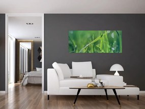 Tablou cu picături de rouă (120x50 cm)